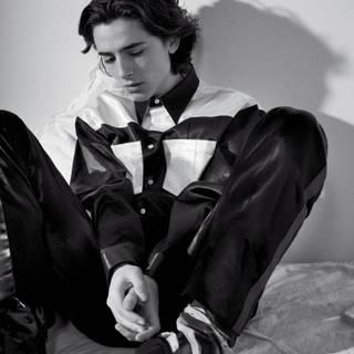 Timothee Chalamet iPhone wallpaper