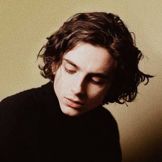 Timothee Chalamet iPhone wallpaper