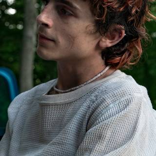 Timothee Chalamet iPhone wallpaper