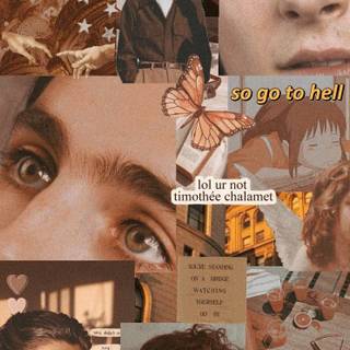 Timothee Chalamet iPhone wallpaper