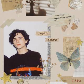 Timothee Chalamet iPhone wallpaper