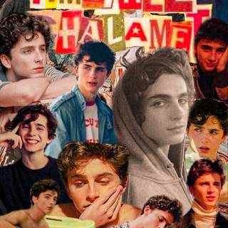 Timothee Chalamet iPhone wallpaper
