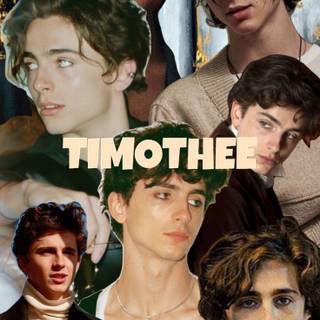 Timothee Chalamet iPhone wallpaper