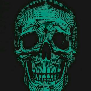 Skull iPhone 11 wallpaper