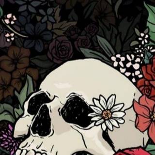 Skull iPhone 11 wallpaper