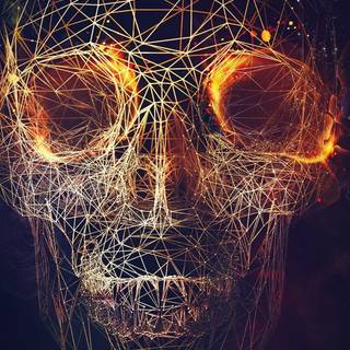 Skull iPhone 11 wallpaper