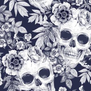 Skull iPhone 11 wallpaper