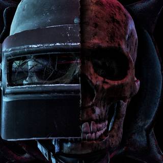 Skull iPhone 11 wallpaper