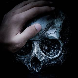 Skull iPhone 11 wallpaper