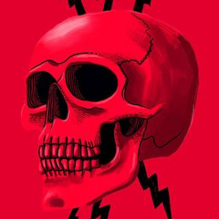Skull iPhone 11 wallpaper