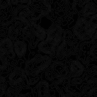 Black topographic wallpaper