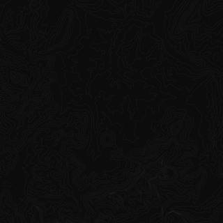 Black topographic wallpaper