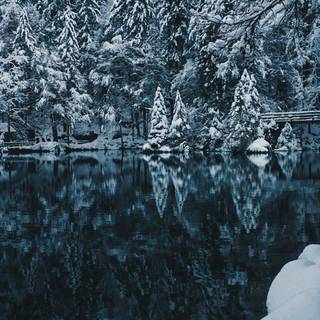 Winter iPhone 15 Pro wallpaper