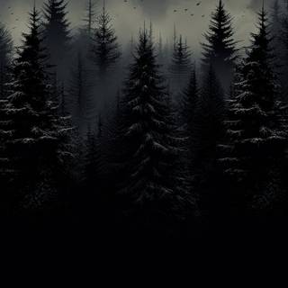 Dark winter forest iPhone wallpaper