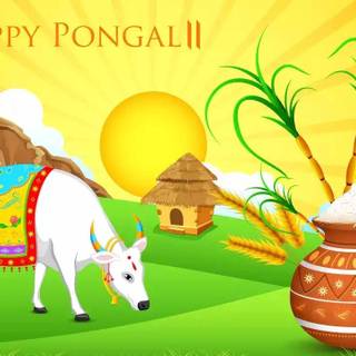 Happy Pongal 2024 wallpaper