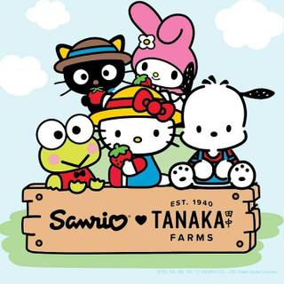 Hello Kitty group wallpaper