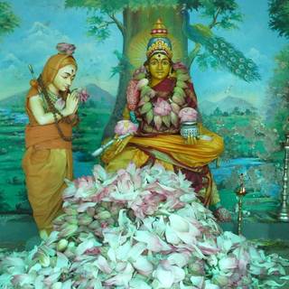 Adi Shankara wallpaper