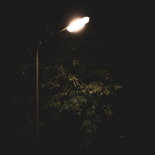 Street light HD 4k iPhone wallpaper