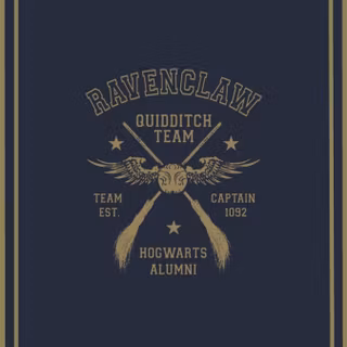 Ravenclaw Quidditch wallpaper