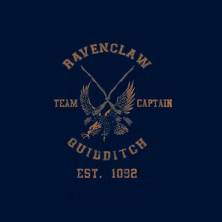 Ravenclaw Quidditch wallpaper