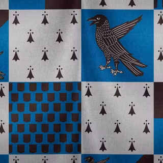 Ravenclaw Quidditch wallpaper