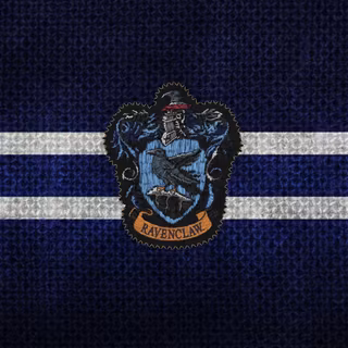 Ravenclaw Quidditch wallpaper