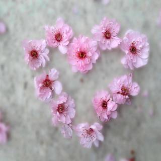 Spring hearts aesthetic wallpaper