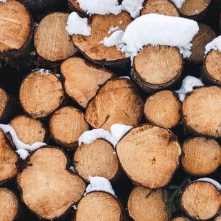 iPhone orange winter wallpaper