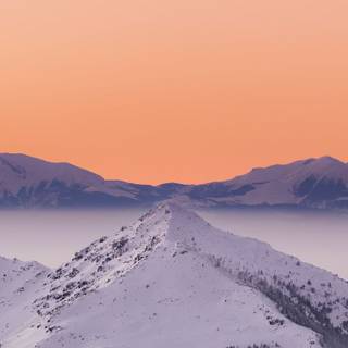 iPhone orange winter wallpaper