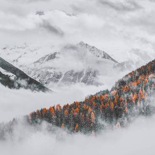 iPhone orange winter wallpaper