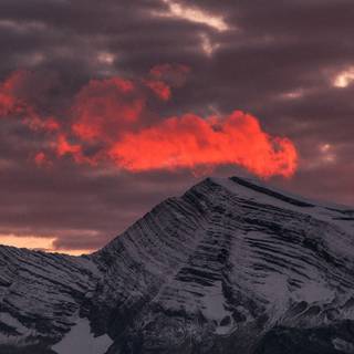 iPhone orange winter wallpaper