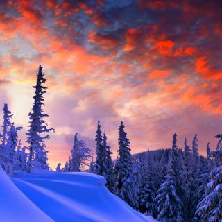 iPhone orange winter wallpaper