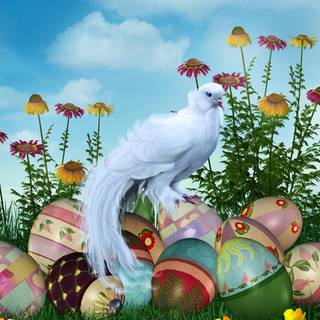 Easter bird wallpaper