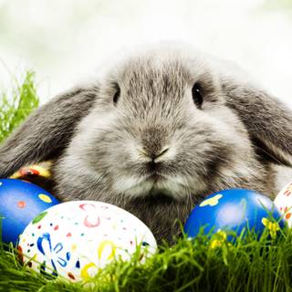 1920x1080 Easter wallpaper