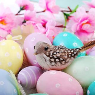 Easter bird wallpaper
