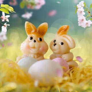 Desktop bunny wallpaper