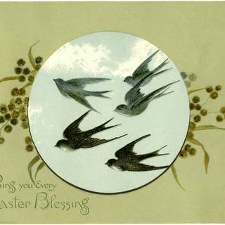 Easter bird wallpaper