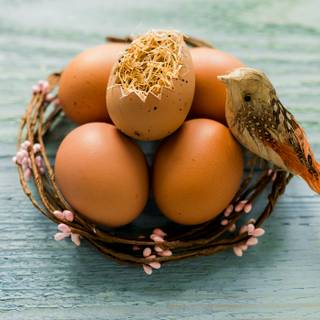 Easter bird wallpaper