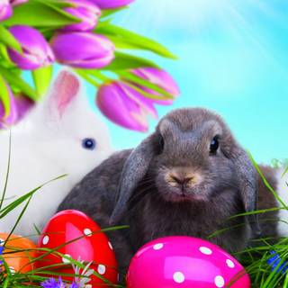 1920x1080 Easter wallpaper