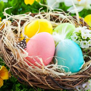 Easter bird wallpaper