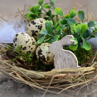 Easter bird wallpaper