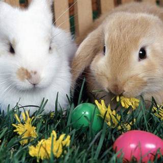 1920x1080 Easter wallpaper