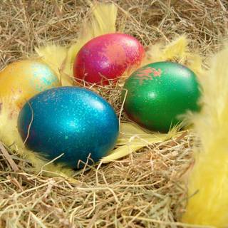 Easter bird wallpaper