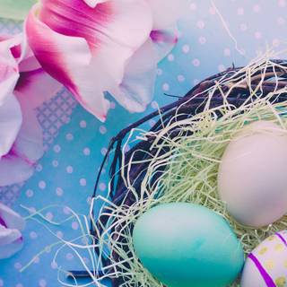 Easter bird wallpaper