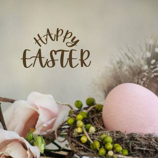 Easter bird wallpaper