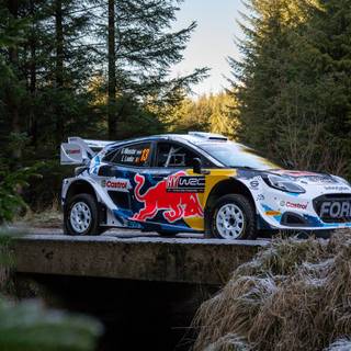 WRC 2024 wallpaper