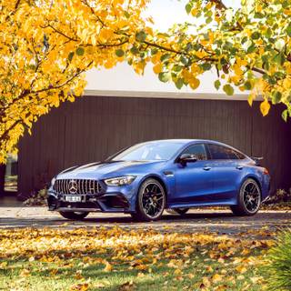 Mercedes-Benz AMG GT 63 wallpaper