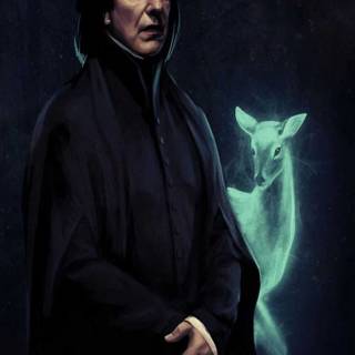 Severus Snape and Lily Potter wallpaper