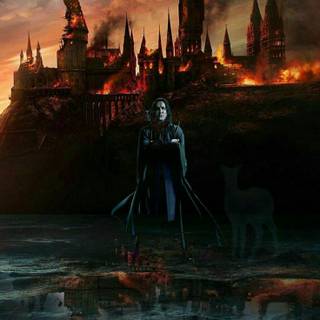 Severus Snape and Lily Potter wallpaper