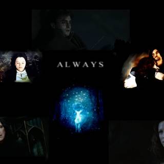 Severus Snape and Lily Potter wallpaper